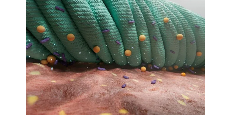 Sorbact®: Una Revolución Física en el Tratamiento de Heridas Infectadas