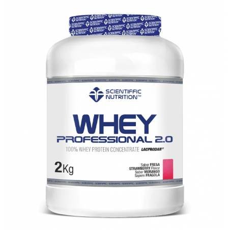 Whey Professional 2.0 2kg Fresa